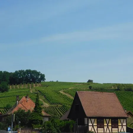 GEWURZTRAMINER - Joli studio au pied du vignoble Riquewihr Extérieur photo