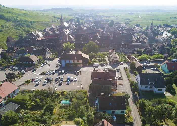 Gewurztraminer - Studio Au Pied Du Vignoble - Renove Recemment - Parking Gratuit