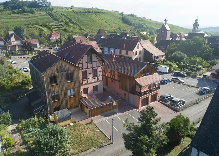 Gewurztraminer - Studio Au Pied Du Vignoble - Renove Recemment - Parking Gratuit